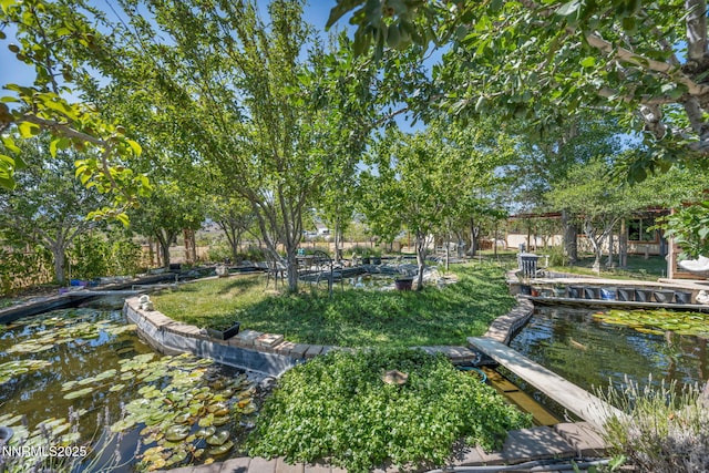 15 Audrey Dr, Carson City, NV 89706 - photo 71