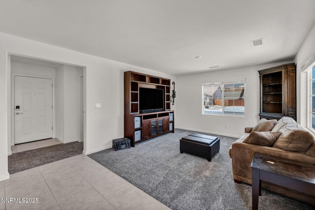 251 Snow Ln, Dayton, NV 89403 - photo 35