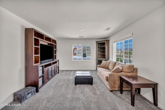 251 Snow Ln, Dayton, NV 89403 - photo 39