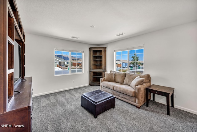 251 Snow Ln, Dayton, NV 89403 - photo 40