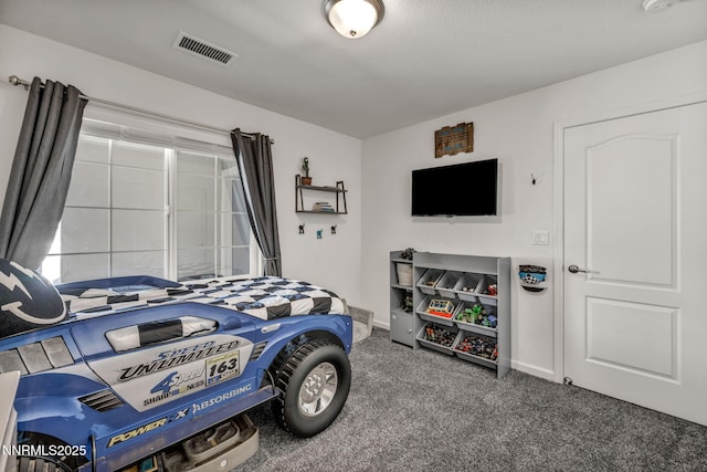 251 Snow Ln, Dayton, NV 89403 - photo 30