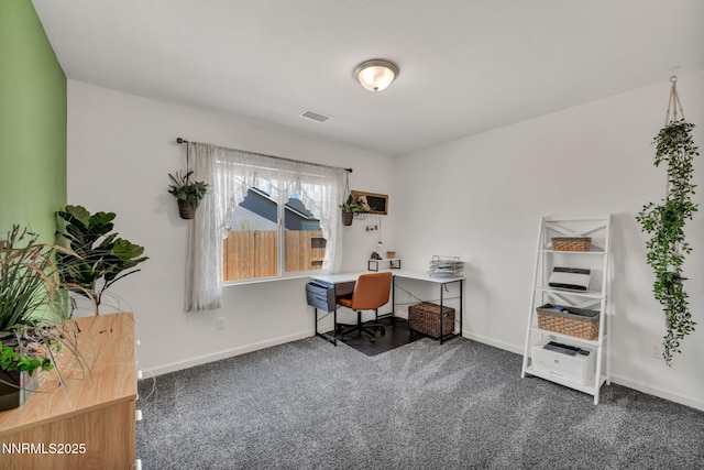 251 Snow Ln, Dayton, NV 89403 - photo 31