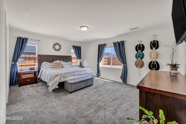 251 Snow Ln, Dayton, NV 89403 - photo 21