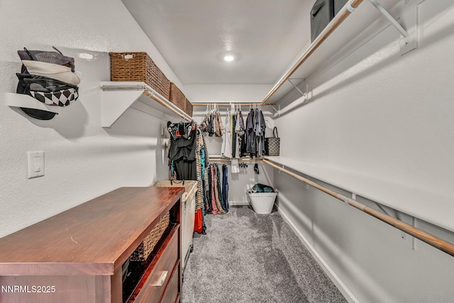 251 Snow Ln, Dayton, NV 89403 - photo 28