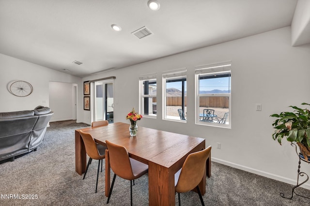 251 Snow Ln, Dayton, NV 89403 - photo 14