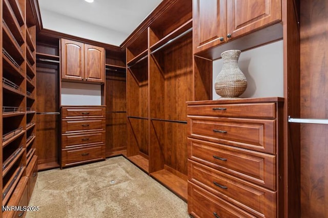 8675 Tom Kite Trl, Reno, NV 89523 - photo 23