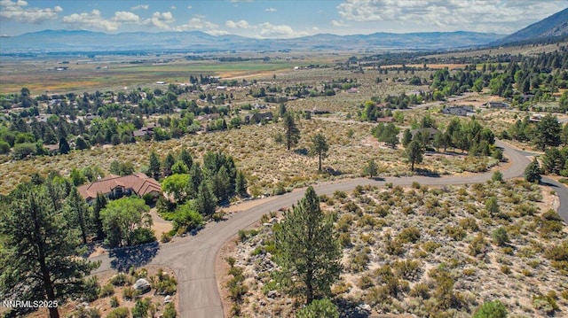 1211 Quail Ridge Rd, Gardnerville, NV 89460 - photo 3