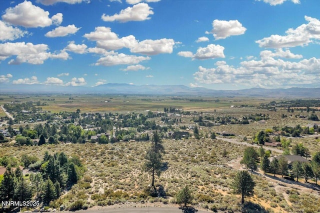 1211 Quail Ridge Rd, Gardnerville, NV 89460 - photo 4