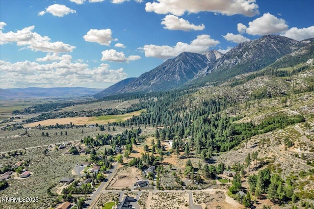 1211 Quail Ridge Rd, Gardnerville, NV 89460 - photo 10