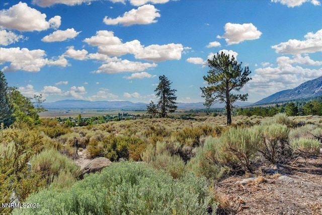 1211 Quail Ridge Rd, Gardnerville, NV 89460 - photo 12