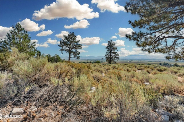 1211 Quail Ridge Rd, Gardnerville, NV 89460 - photo 14