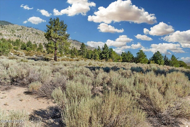 1211 Quail Ridge Rd, Gardnerville, NV 89460 - photo 15