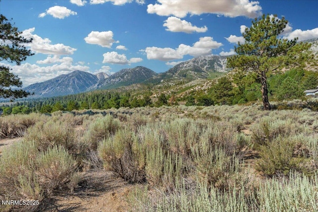 1211 Quail Ridge Rd, Gardnerville, NV 89460 - photo 16