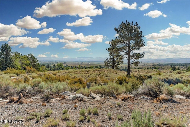 1211 Quail Ridge Rd, Gardnerville, NV 89460 - photo 18