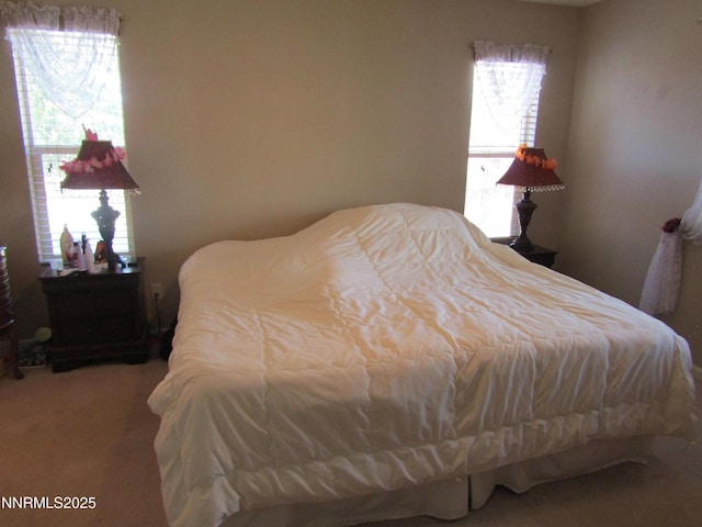 2 Pelham Ct, Yerington, NV 89447 - photo 9
