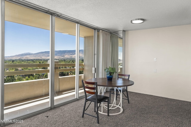 100 N Arlington Ave Unit 10E, Reno, NV 89501 - photo 7