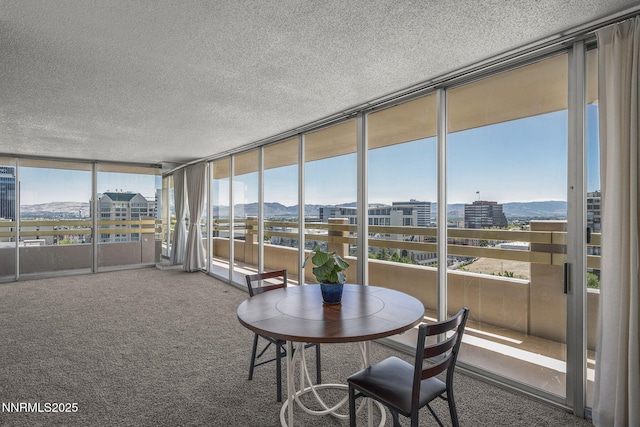 100 N Arlington Ave Unit 10E, Reno, NV 89501 - photo 12