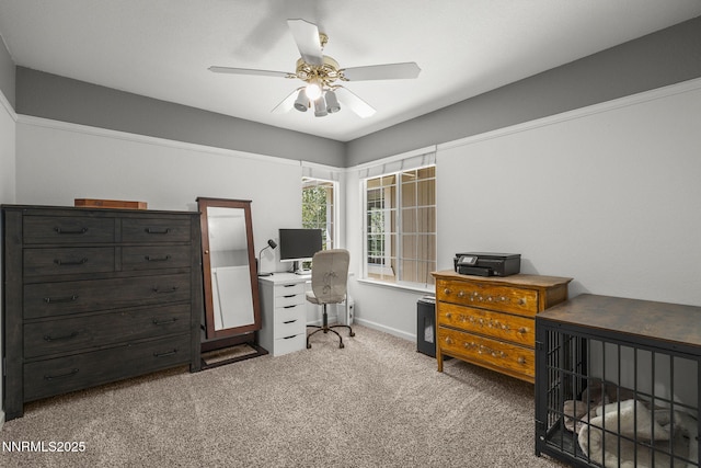 2260 Lenticular Dr, Sparks, NV 89441 - photo 20