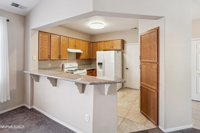 9741 Ripple Way, Reno, NV 89521 - photo 10
