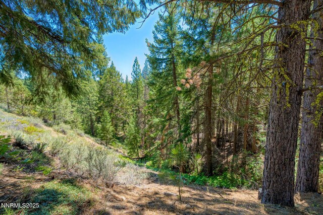 2170 Mourning Dove Ln, Clio, CA 96106 - photo 42