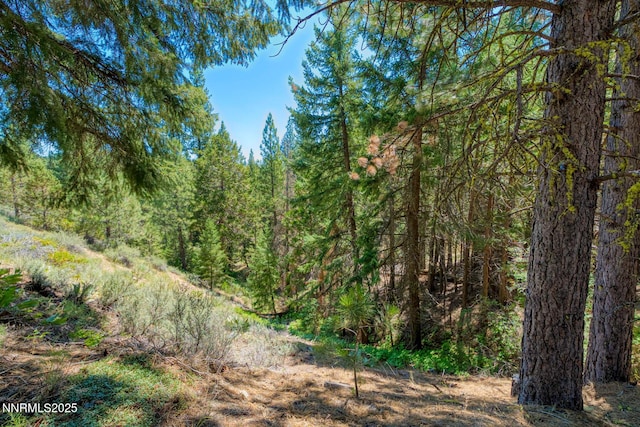 2170 Mourning Dove Ln, Clio, CA 96106 - photo 66