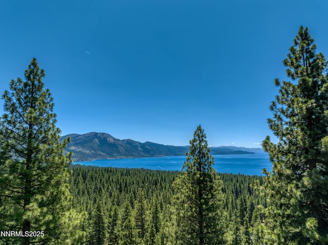 689 Tyner Way, Incline Village, NV 89451 - photo 25