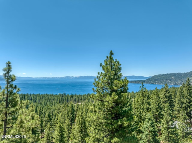 689 Tyner Way, Incline Village, NV 89451 - photo 26