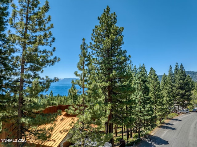 689 Tyner Way, Incline Village, NV 89451 - photo 27