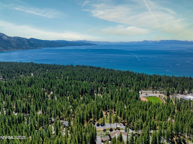689 Tyner Way, Incline Village, NV 89451 - photo 32