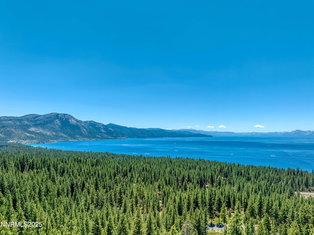 689 Tyner Way, Incline Village, NV 89451 - photo 35