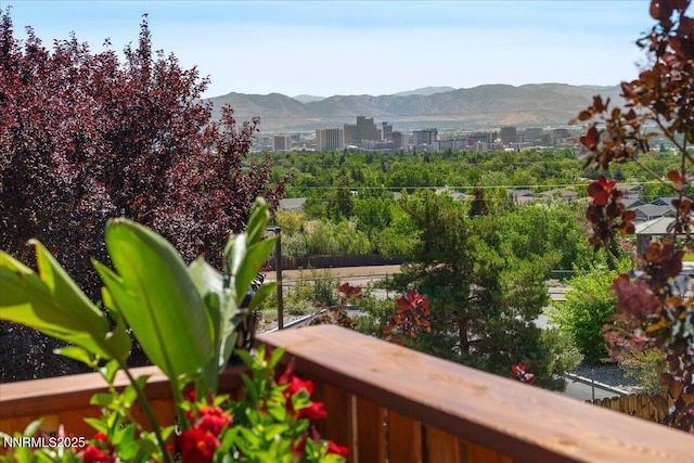 2980 Hacienda Dr, Reno, NV 89503 - photo 20