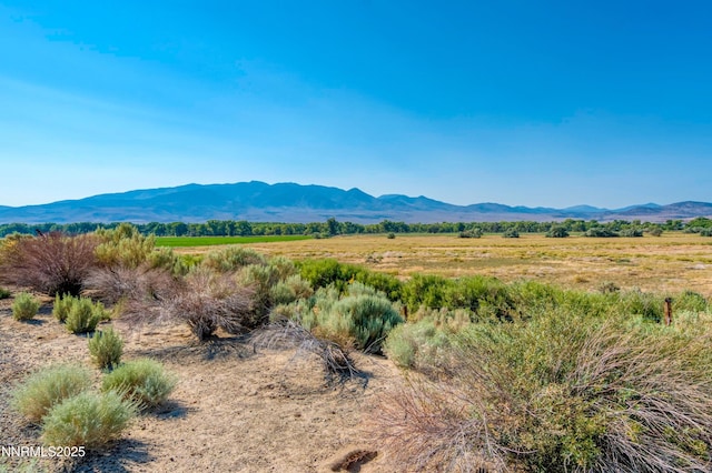 45 River Rd, Dayton, NV 89403 - photo 32