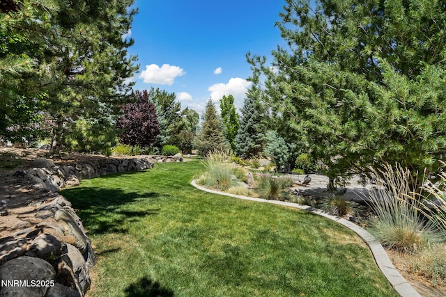 8741 Lakeside Dr, Reno, NV 89511 - photo 66