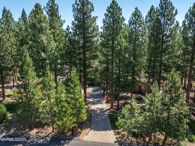 1690 Green Ash Dr, Reno, NV 89511 - photo 61