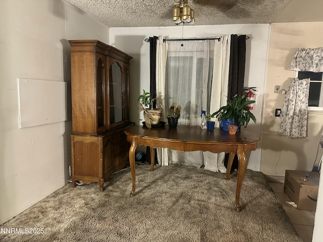 705 York Way, Sparks, NV 89431 - photo 5
