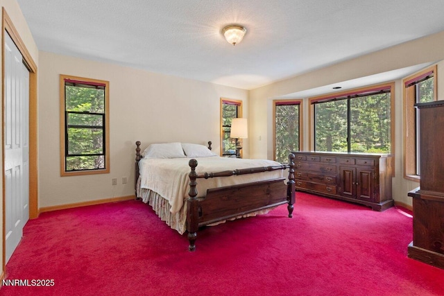 1568 Chippewa St, South Lake Tahoe, CA 96150 - photo 19