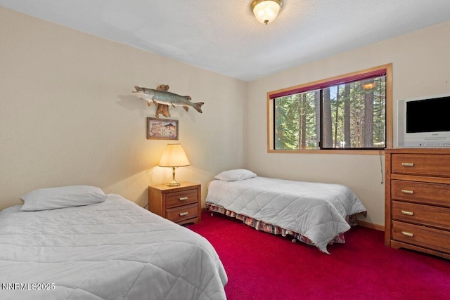 1568 Chippewa St, South Lake Tahoe, CA 96150 - photo 23