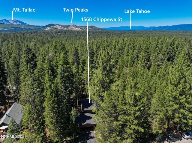 1568 Chippewa St, South Lake Tahoe, CA 96150 - photo 31