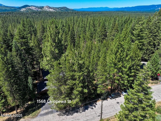 1568 Chippewa St, South Lake Tahoe, CA 96150 - photo 32