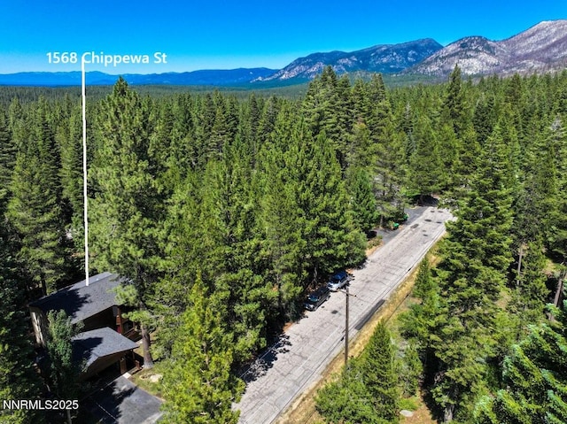 1568 Chippewa St, South Lake Tahoe, CA 96150 - photo 34