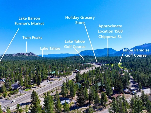 1568 Chippewa St, South Lake Tahoe, CA 96150 - photo 36