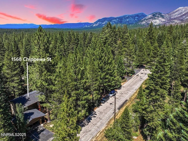 1568 Chippewa St, South Lake Tahoe, CA 96150 - photo 39