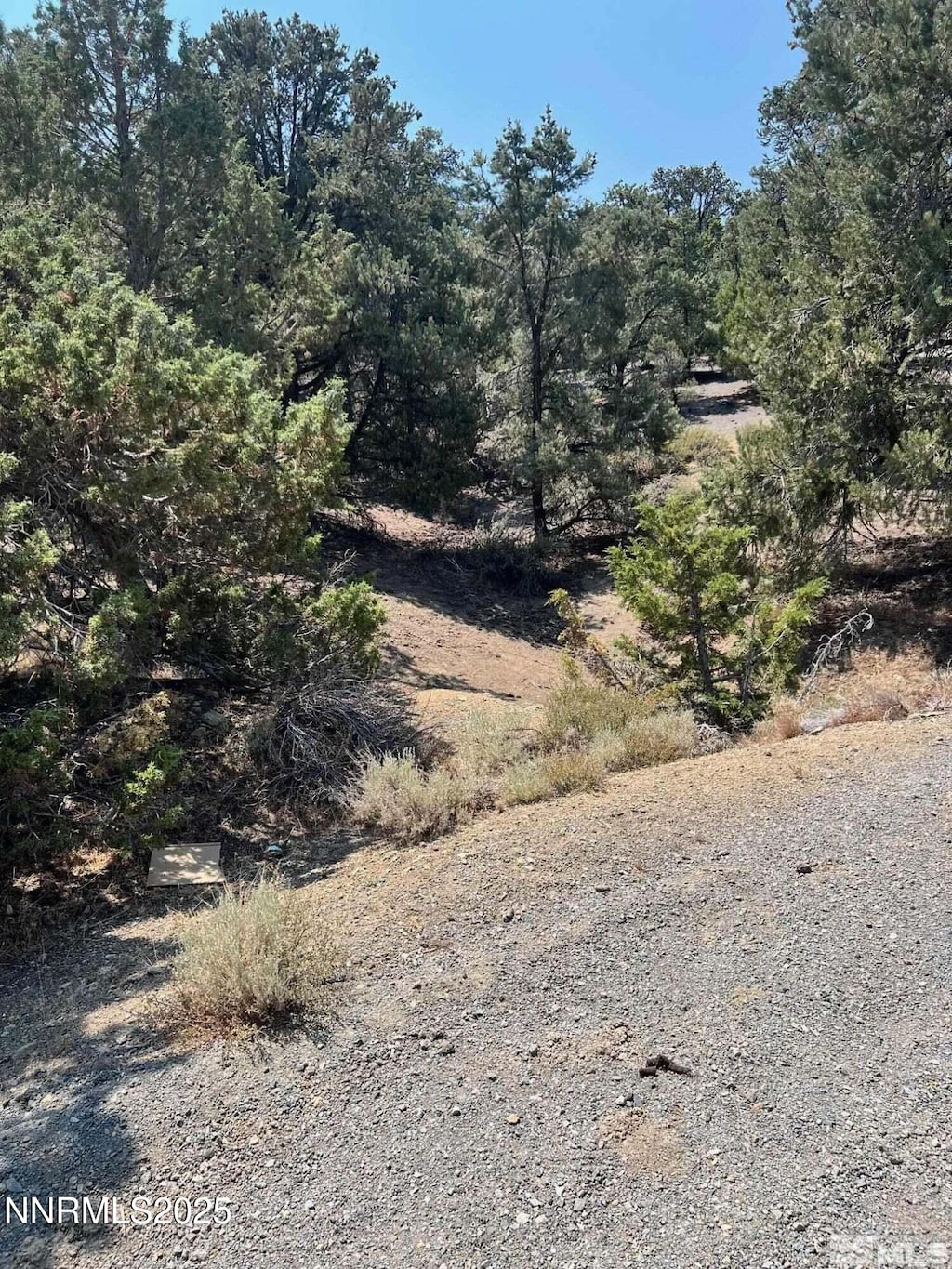 2070 Alpine Rd, Reno, NV 89521 - photo 3