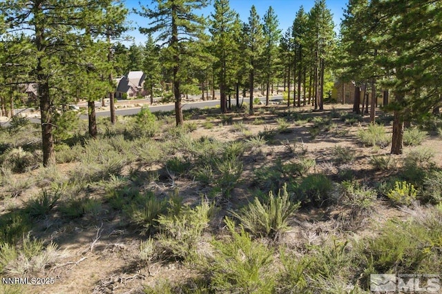 20585 Margaux Rd, Reno, NV 89511 - photo 5