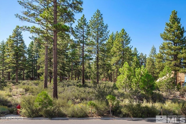 20585 Margaux Rd, Reno, NV 89511 - photo 2