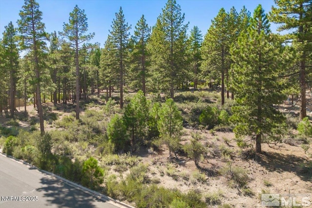 20585 Margaux Rd, Reno, NV 89511 - photo 1