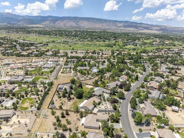 1060 Flanders Rd, Reno, NV 89511 - photo 30