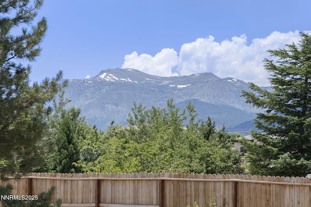 1060 Flanders Rd, Reno, NV 89511 - photo 27