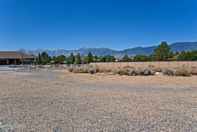 1572 Amber Rose Dr, Minden, NV 89423 - photo 54