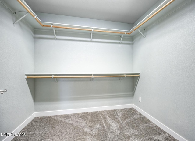 2011 Silver Cir, Fallon, NV 89406 - photo 21